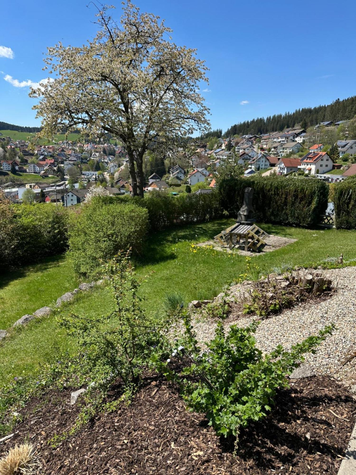 Sonneck Schonach * Schonach im Schwarzwald
